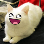 EpicCat