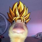 veinydih88