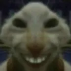 sirxrer