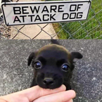 oshdnsidhdhjdeleteme