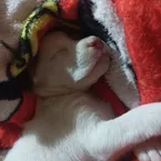JKNLDEMENTE's profile picture