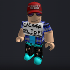 User profile picture