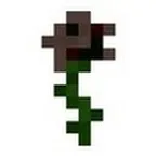 Minecraft__Rose