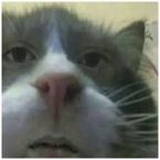 Emineem's profile picture
