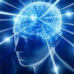 Brain