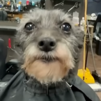 gustavokociuba's profile picture
