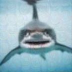 Sparkydawoof's profile picture