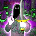Vicefedz