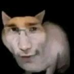 TheFrenchHacker