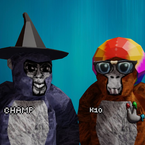 User profile picture