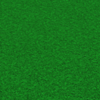 TheStupidScripter