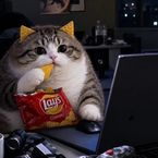 notbeluga77's profile picture