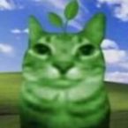 Qyebutdwoshi
