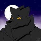 5teve3019D's profile picture