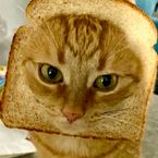 osju's profile picture