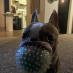 User profile picture