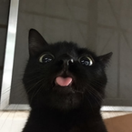 2orb's profile picture