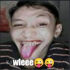 Noobie_scripter's profile picture