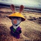 xigema's profile picture