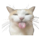 jamaleman