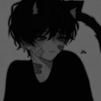 Black_cat5716