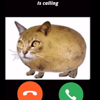 AlreadyInUse