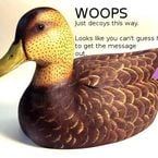 trafficconeeaterwhy's profile picture