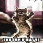 pdzamaletdinov