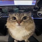 kope's profile picture