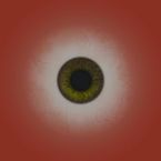 castledot123's profile picture