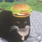 styear's profile picture