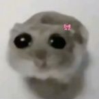 vench