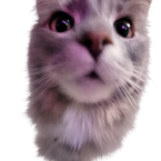 Voidhubb