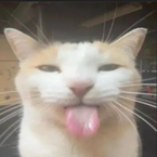 yumenapaul69's profile picture