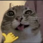 Wtomefr