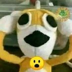 guilhermenunesbatis
