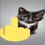 idkwhattoput's profile picture