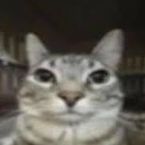 nozz's profile picture
