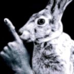 Yurivon's profile picture