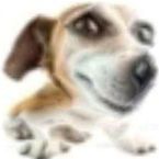 Wicik