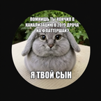 User profile picture