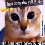 Pwner