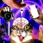 Broxlloz's profile picture