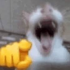 lllllllIIIIIIllllIII's profile picture