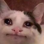 Salmonn's profile picture