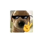 dhshcbdm's profile picture