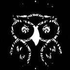 owlguy17