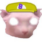 Bingus0us