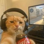 Scripter_TR