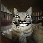 m1dn1ghtHuB's profile picture